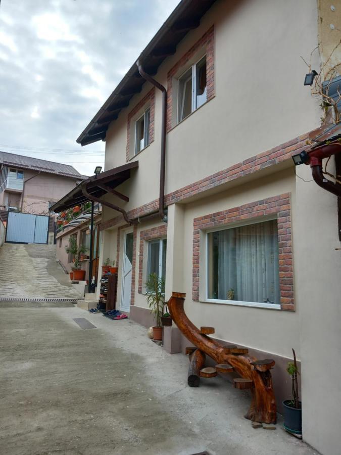 Hotel Casa Rariana Călimăneşti Exterior foto